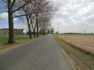 Przebudowa drogi powiatowej nr 1252C Jeżewo – Świecie Etap II 1