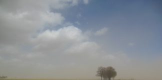 Przebudowa drogi powiatowej nr 1252C Jeżewo – Świecie Etap II 2