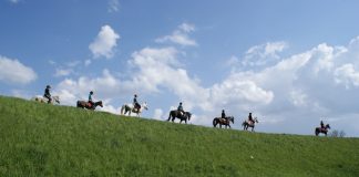 Jeźdzcy ze Stadniny Koni Arkadia