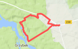Trasa nr 1 „Grzybek” Miniaturka Szlaku Nordic Walking Grzybek
