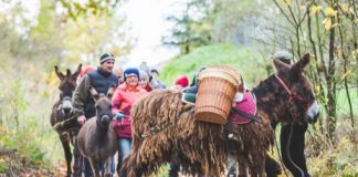 „Toskania Kociewska” Gospodarstwo ekologiczne ze zwierzętami