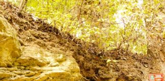 Projektowany rezerwat geomorfologiczny „Parów Cieleszyński” „Cuda natury”