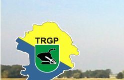 Logo Towarzystwa Rozwoju Gminy Płużnica