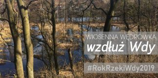 Wiosenna wędrówka wzdłuż Wdy – 5.04.2019 r.