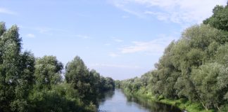 Wakacyjne warsztaty przyrodnicze nad Wdą – 9-11.07.2019 r.