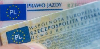 Rejestracja pojazdów