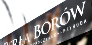 Hotel Perła Borów