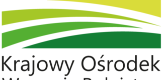 XX edycja Programu stypendiów pomostowych