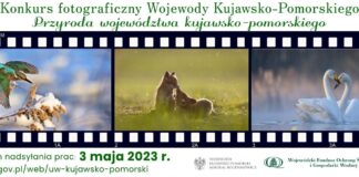 Zaproszenie do udziału w konkursie fotograficznym „Przyroda województwa kujawsko-pomorskiego”