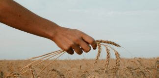 Photo by Paz Arando on Unsplash