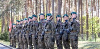 80. rocznica zakończenia II wojny światowej – uroczystość pamięci w Mniszku
