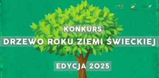 Konkurs Drzewo Roku Ziemi Świeckiej 2025 – czwarta edycja
