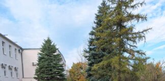 Modernizacja terenu wokół siedziby Powiatowego Urzędu Pracy w Świeciu