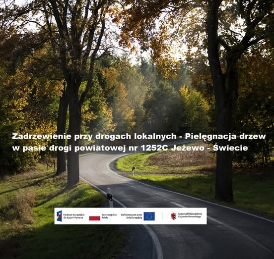 Zadrzewienie przy drogach lokalnych – Pielęgnacja drzew w pasie drogi powiatowej nr 1252C Jeżewo – Świecie