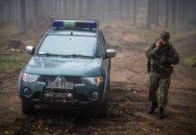 Stroisz pod kontrolą. Straż Leśna rusza z jesienną akcją