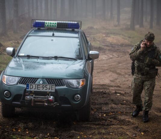 Stroisz pod kontrolą. Straż Leśna rusza z jesienną akcją