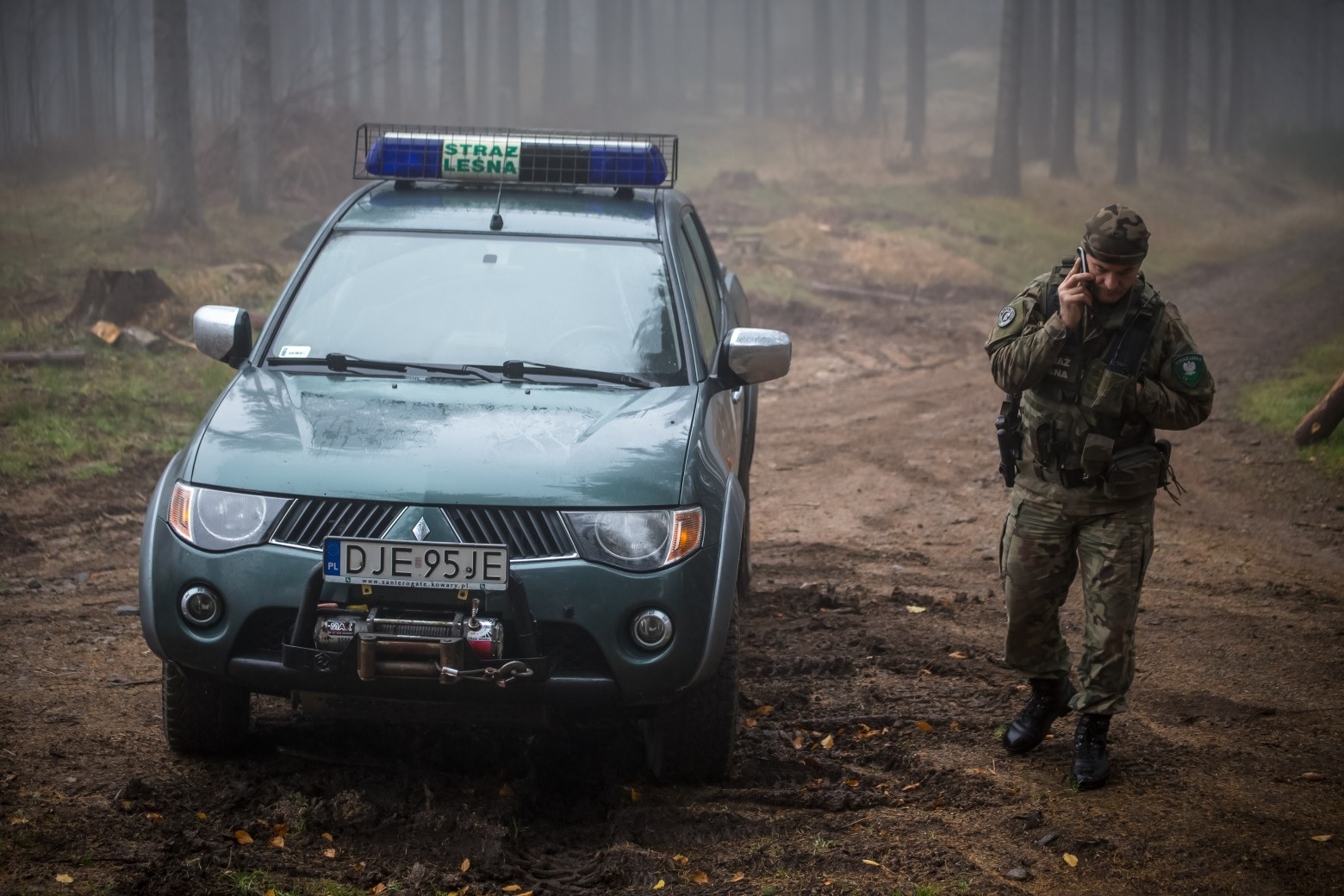 Akcja Straży Leśnej „Stroisz 26” przeciwko nielegalnemu pozyskiwaniu roślin